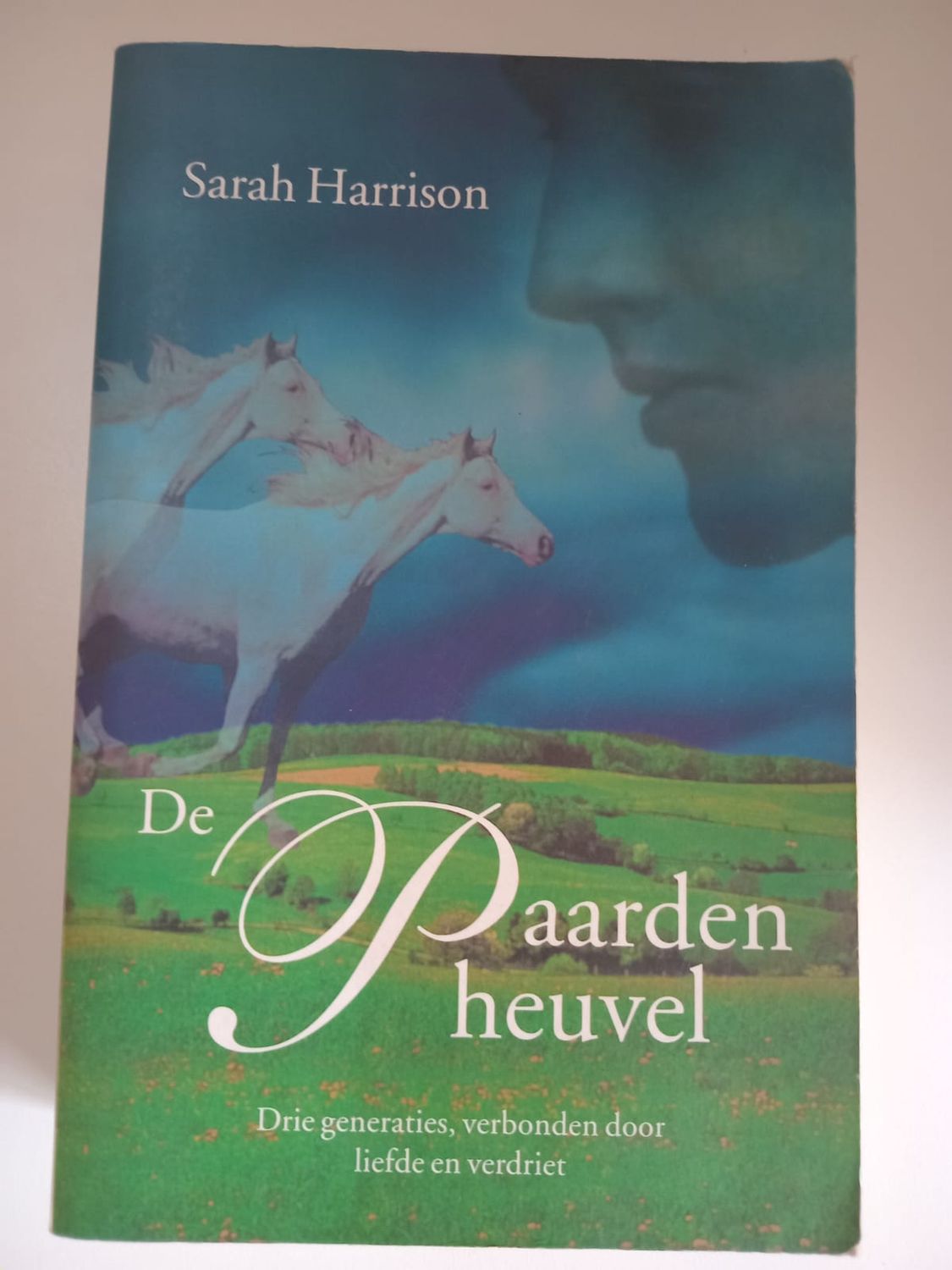 De paarden heuvel 86