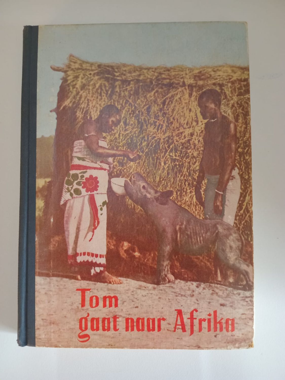 Tom gaat naar Afrika 87