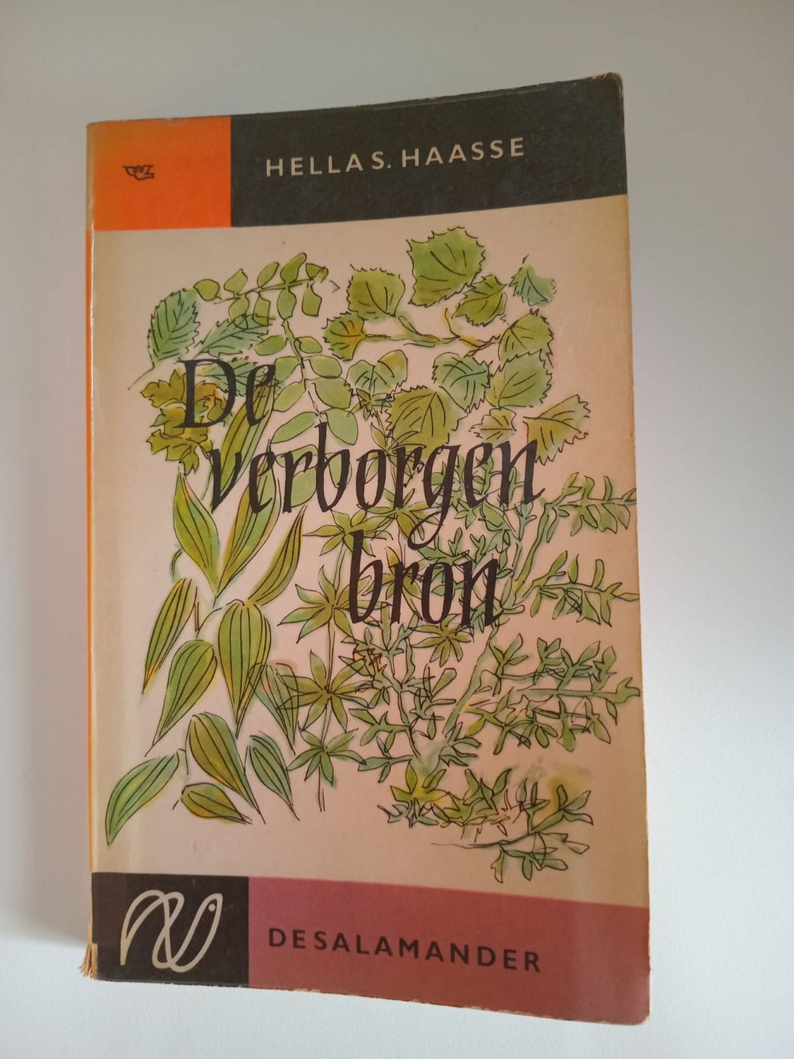 De verborgen bron 87