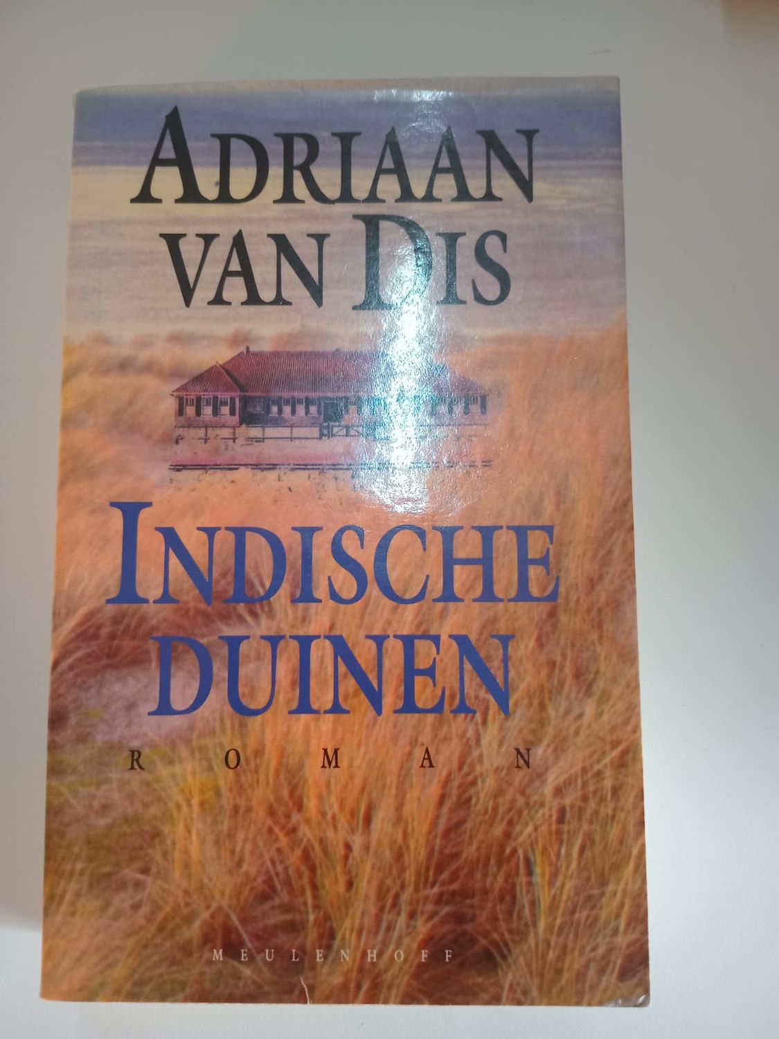Indische duinen 87