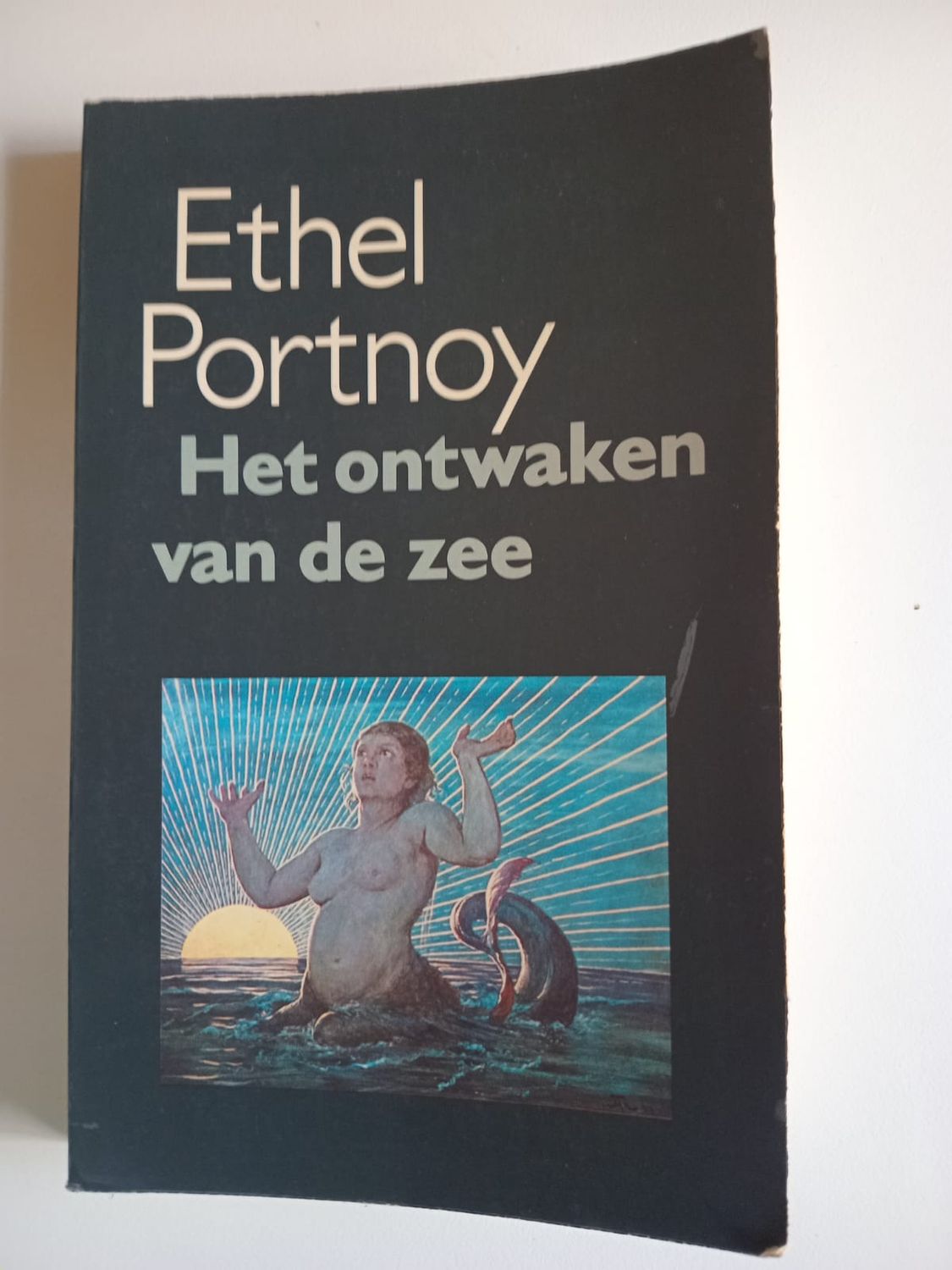 Het ontzwaken van de zee 89