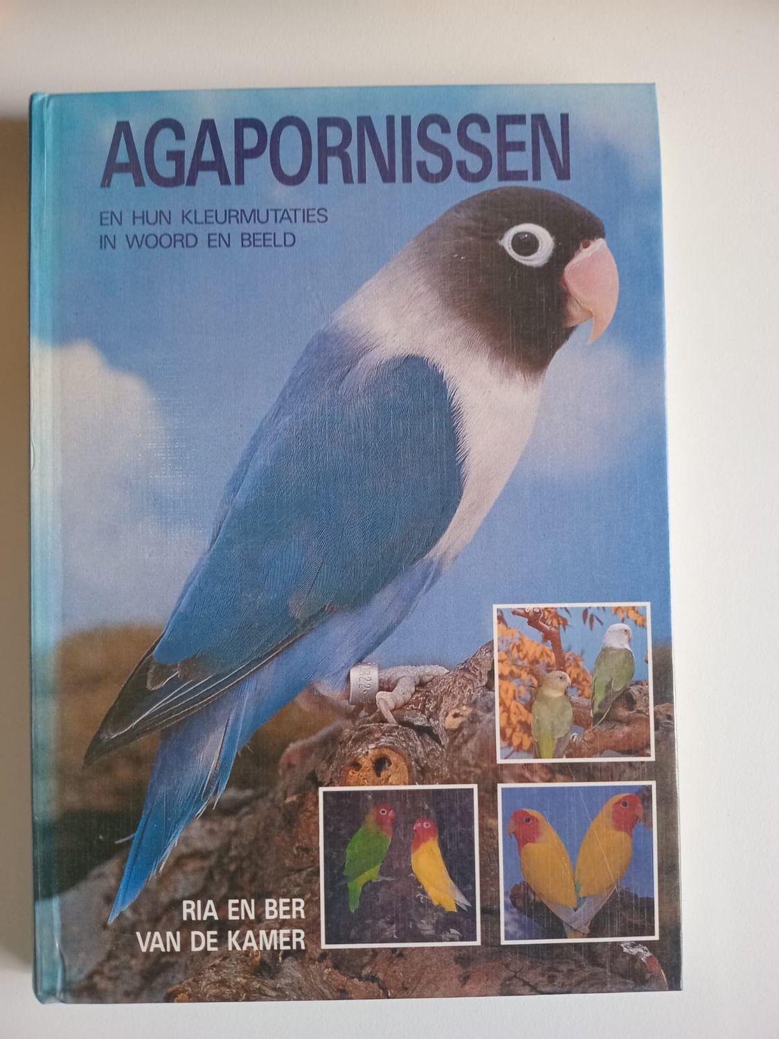 Agapornissen 90