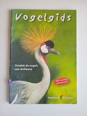 Vogelgids 91