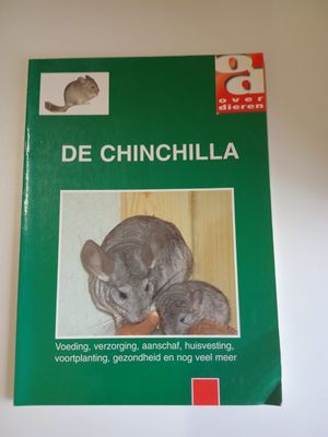 De chinchilla 91