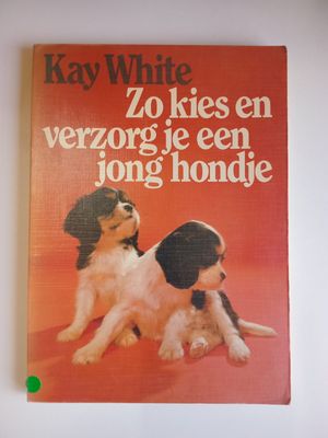 Zo kies en verzorg je een jong hondje 93