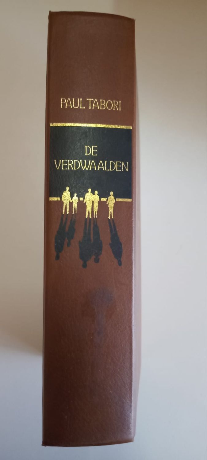 De verwaalden 95