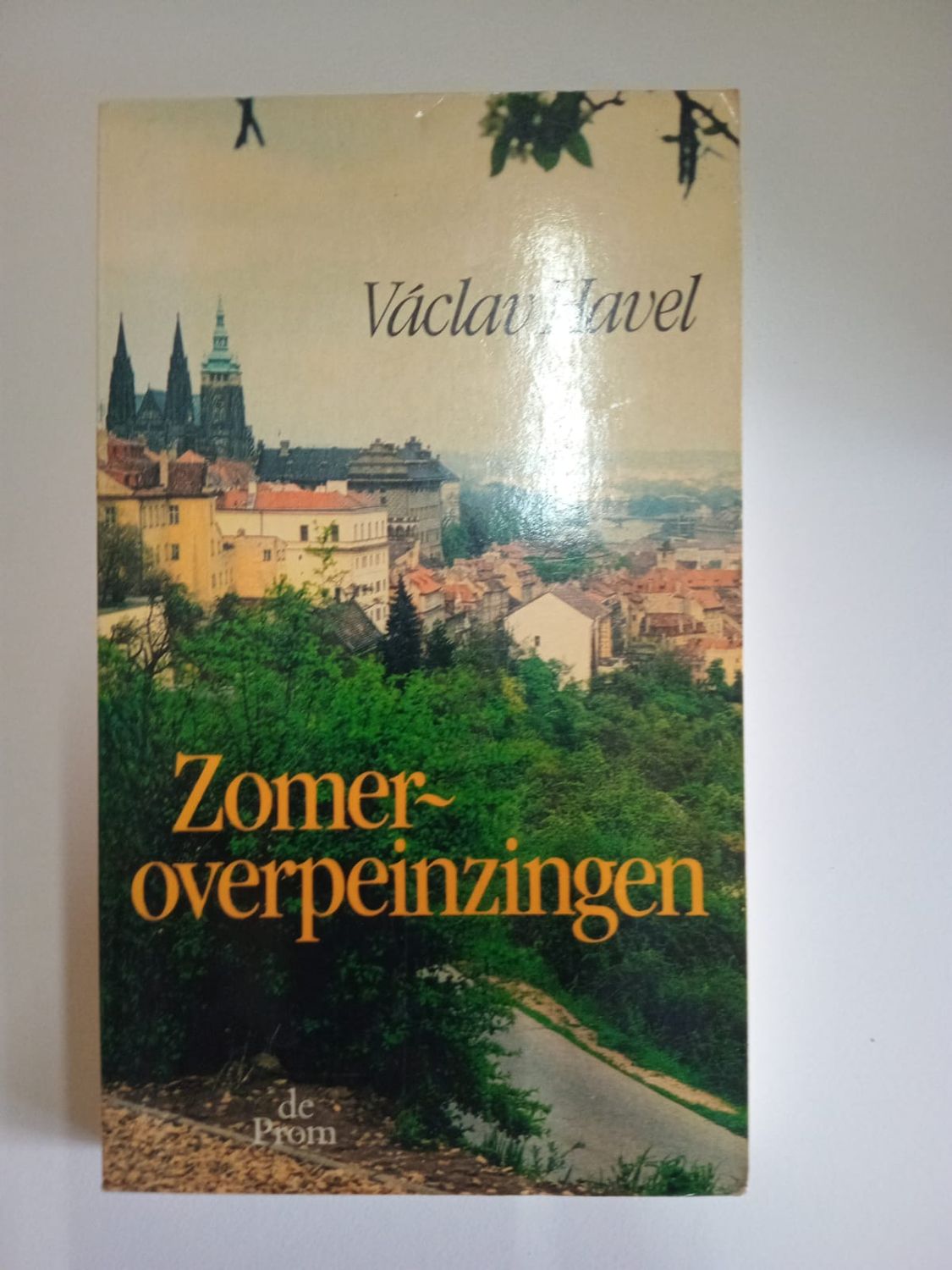 Zomer overpeinzingen 99
