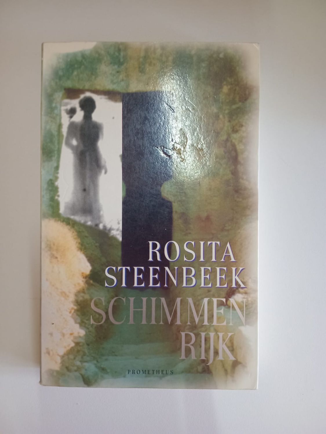 Schimmen rijk 98