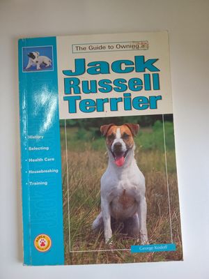 Jack Russell terrier 99