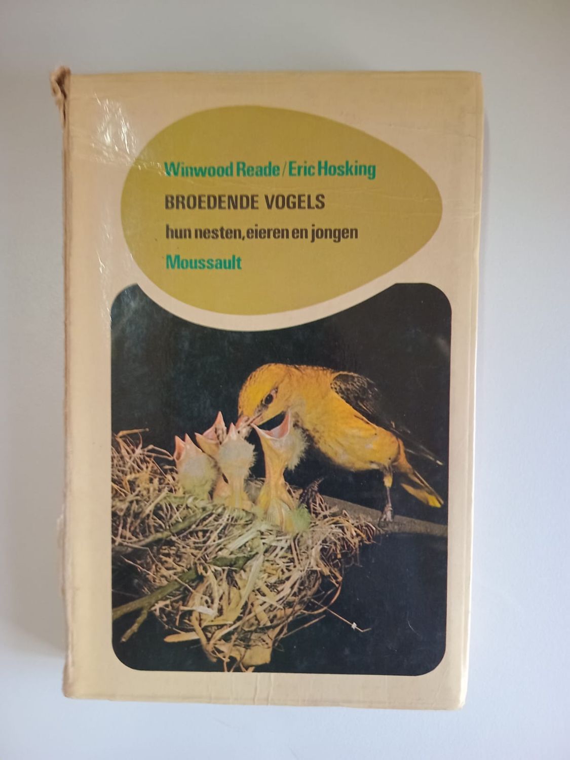 Broedende vogels 98