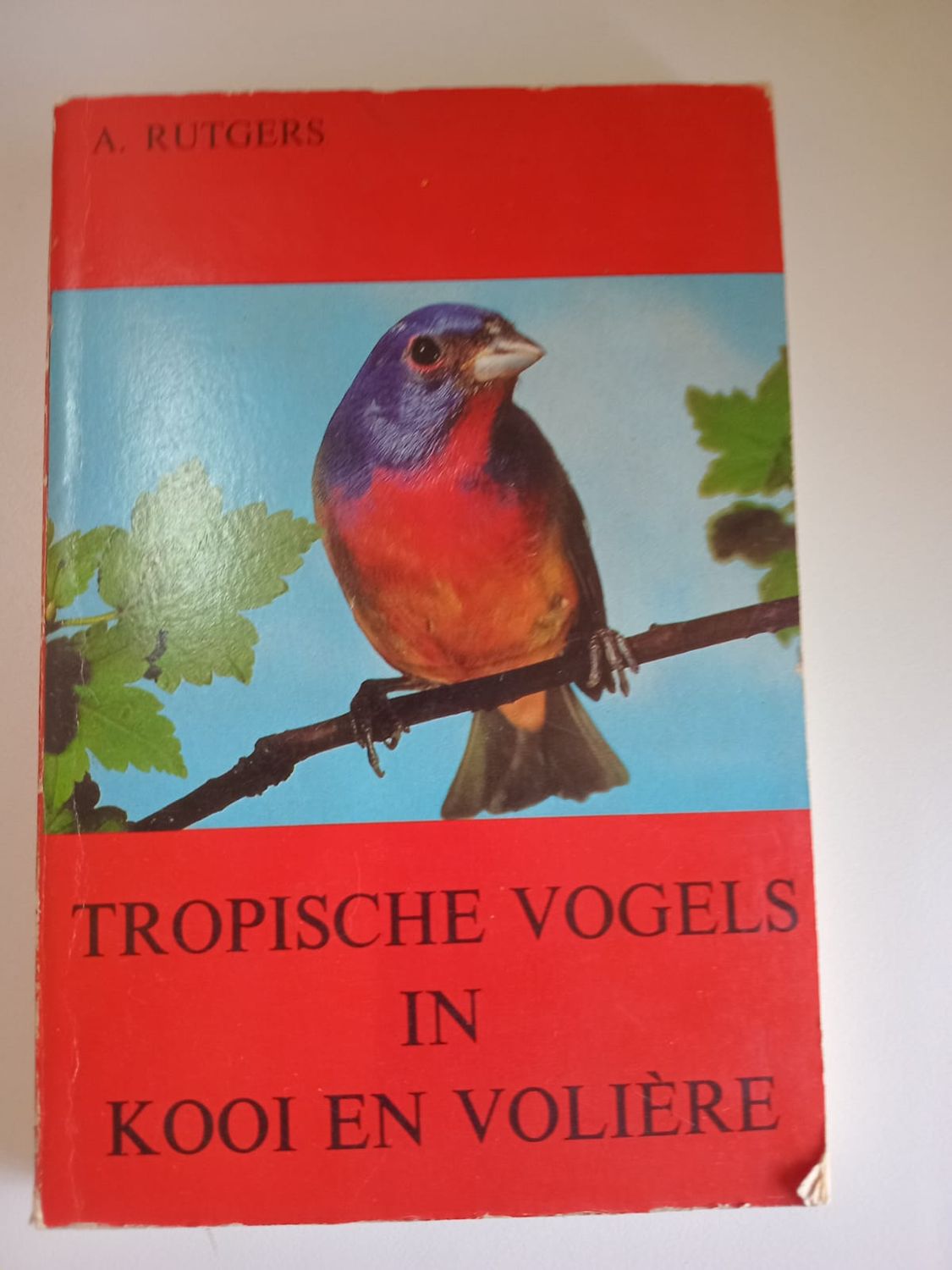 Tropische vogels in kooi en voliere 104