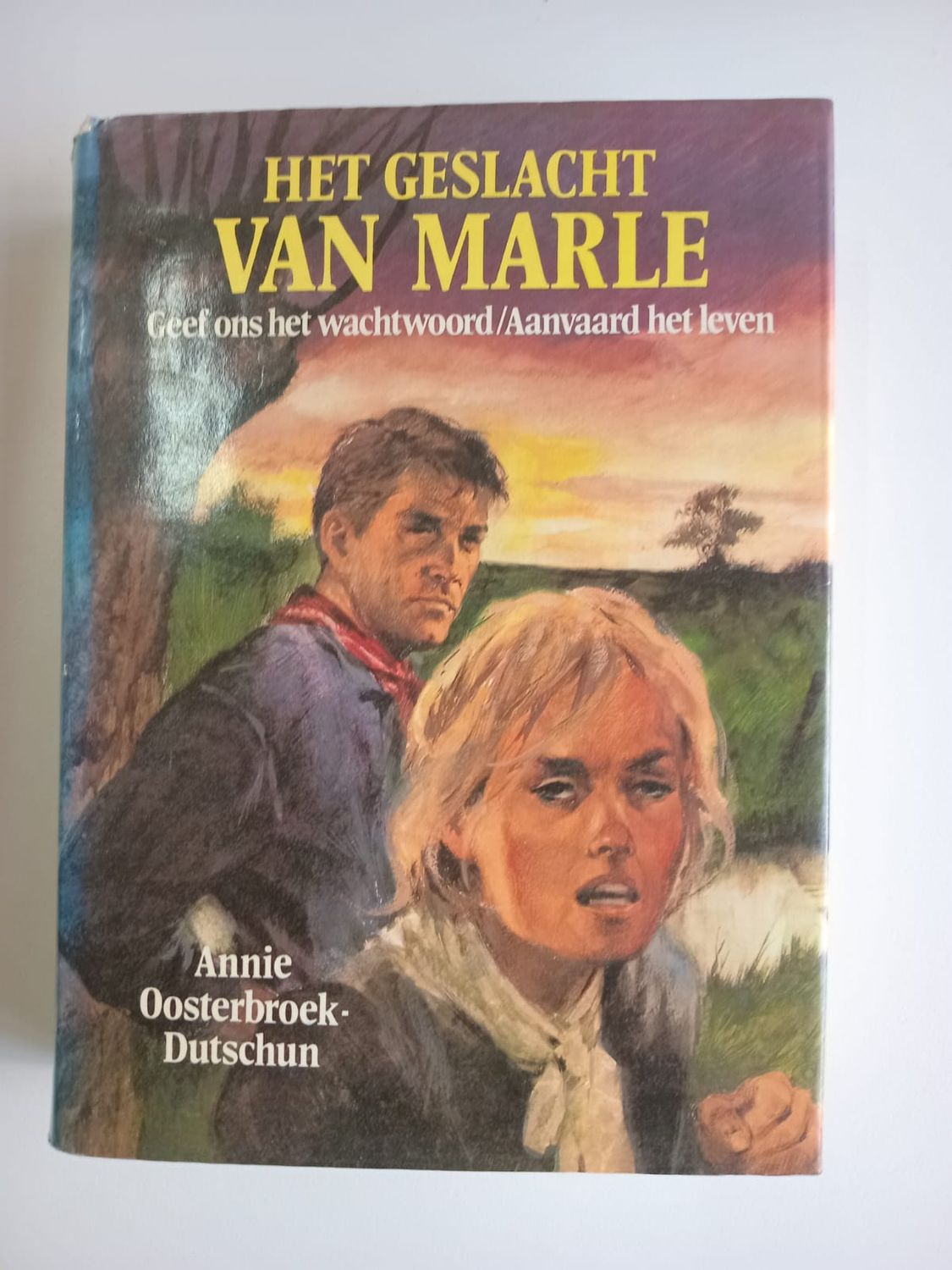Het geslacht van Marle 100