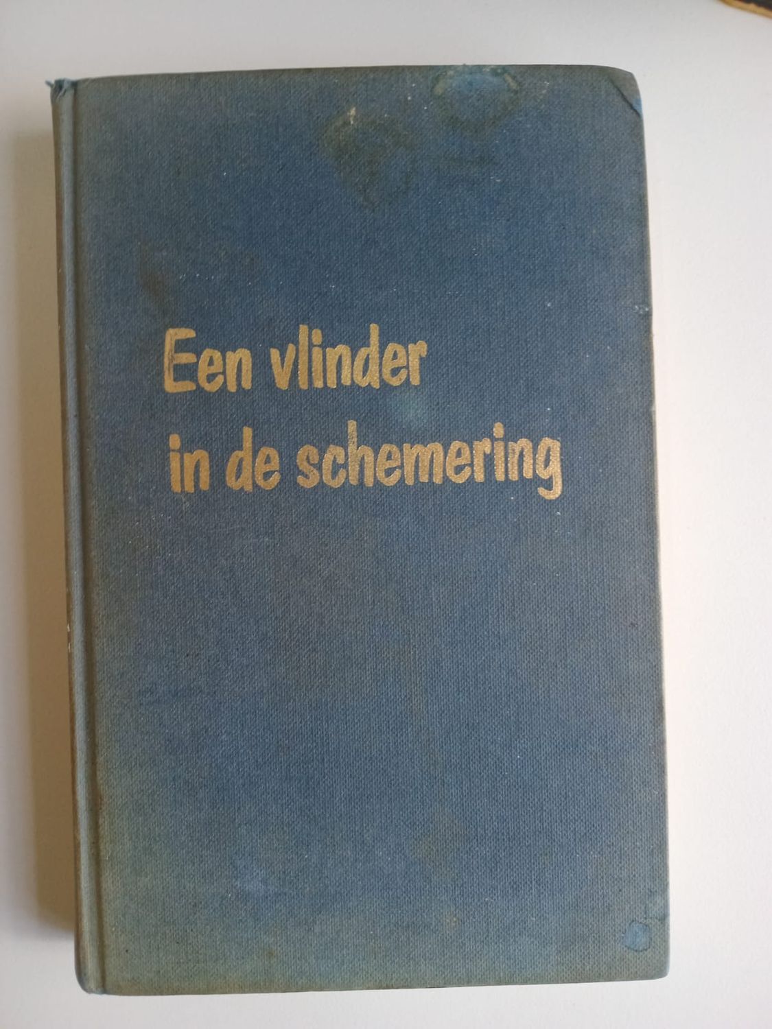 Een vlinder in de schemering 100