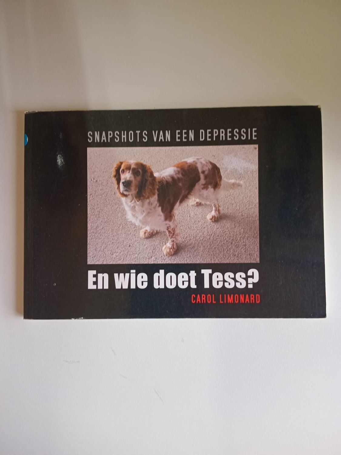 En wie doet Tess ? 100