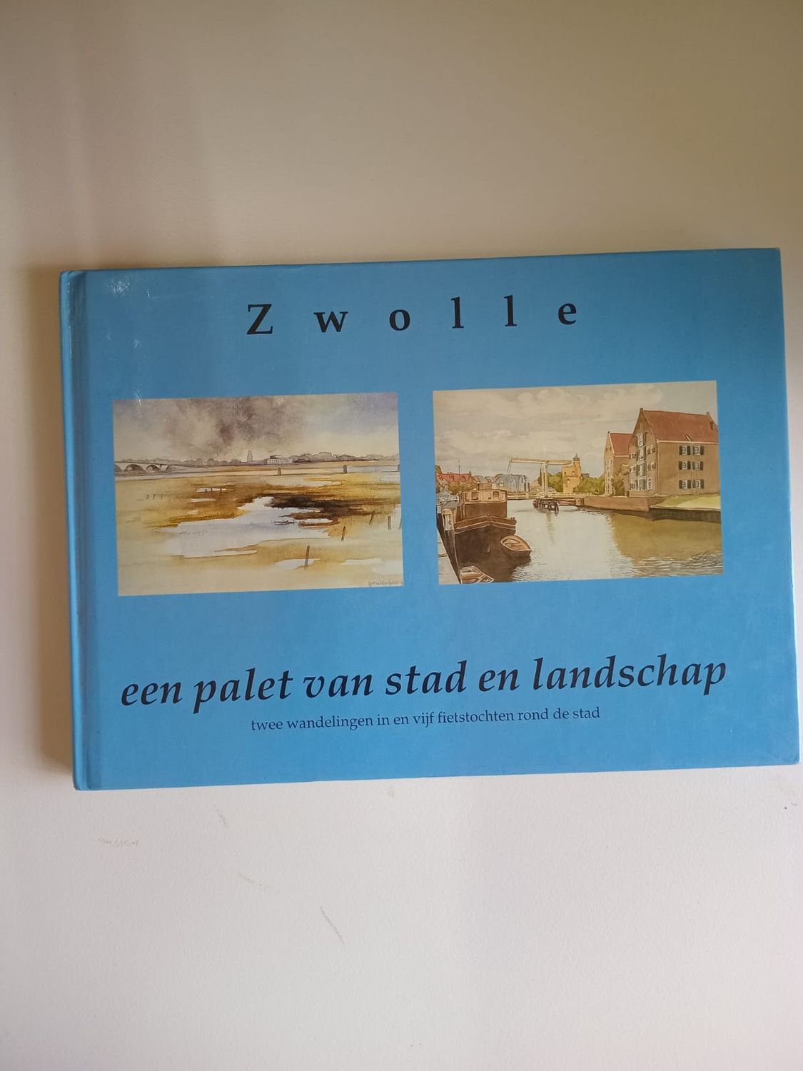 Zwolle een plate van stad en landschap 102
