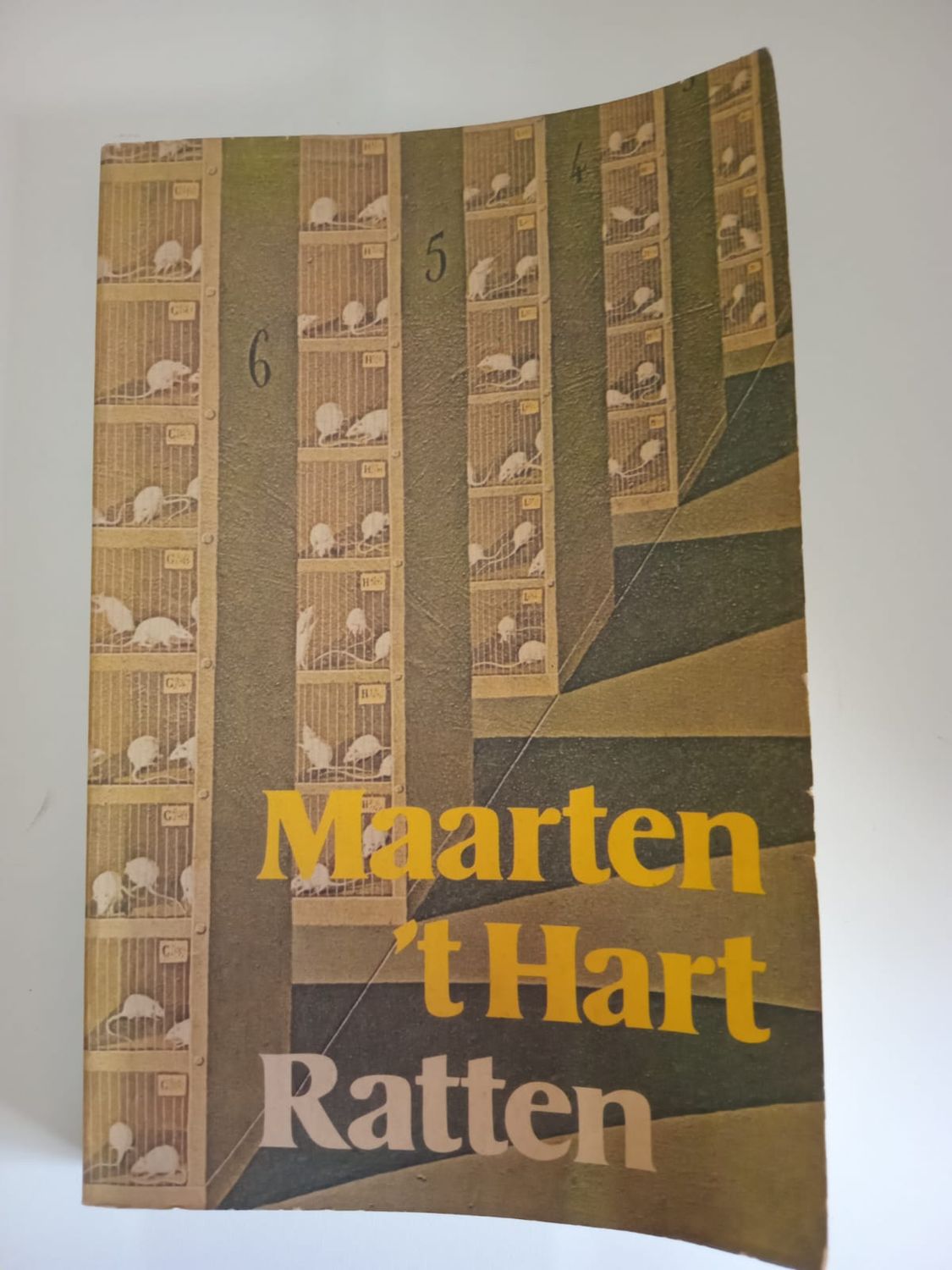 Ratten 102