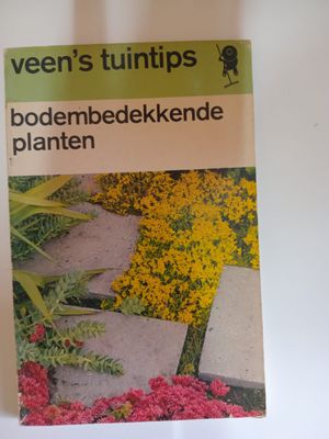 Bodembedekkende planten 103