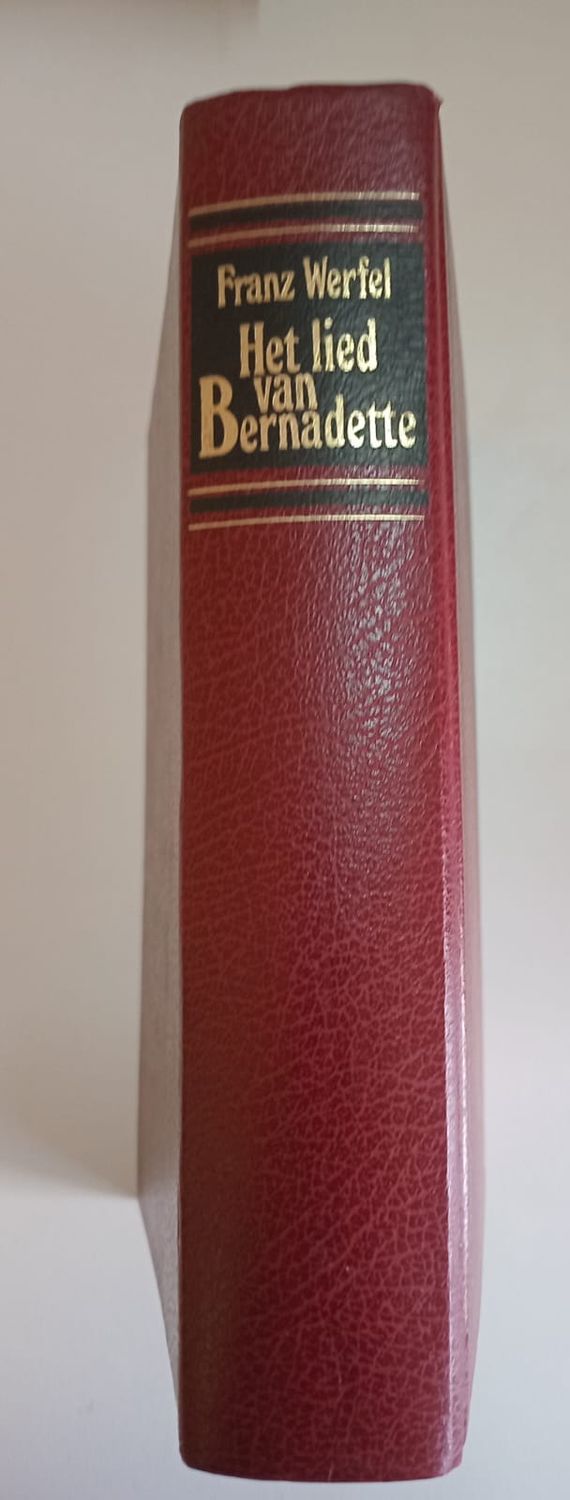 Het lied van Bernadette 103