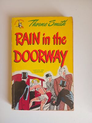 Rain in the doorway 99