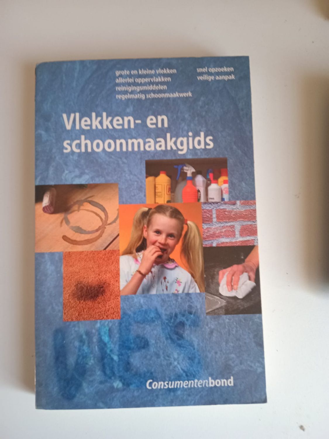 Vlekken- en schoonmaakgids 99