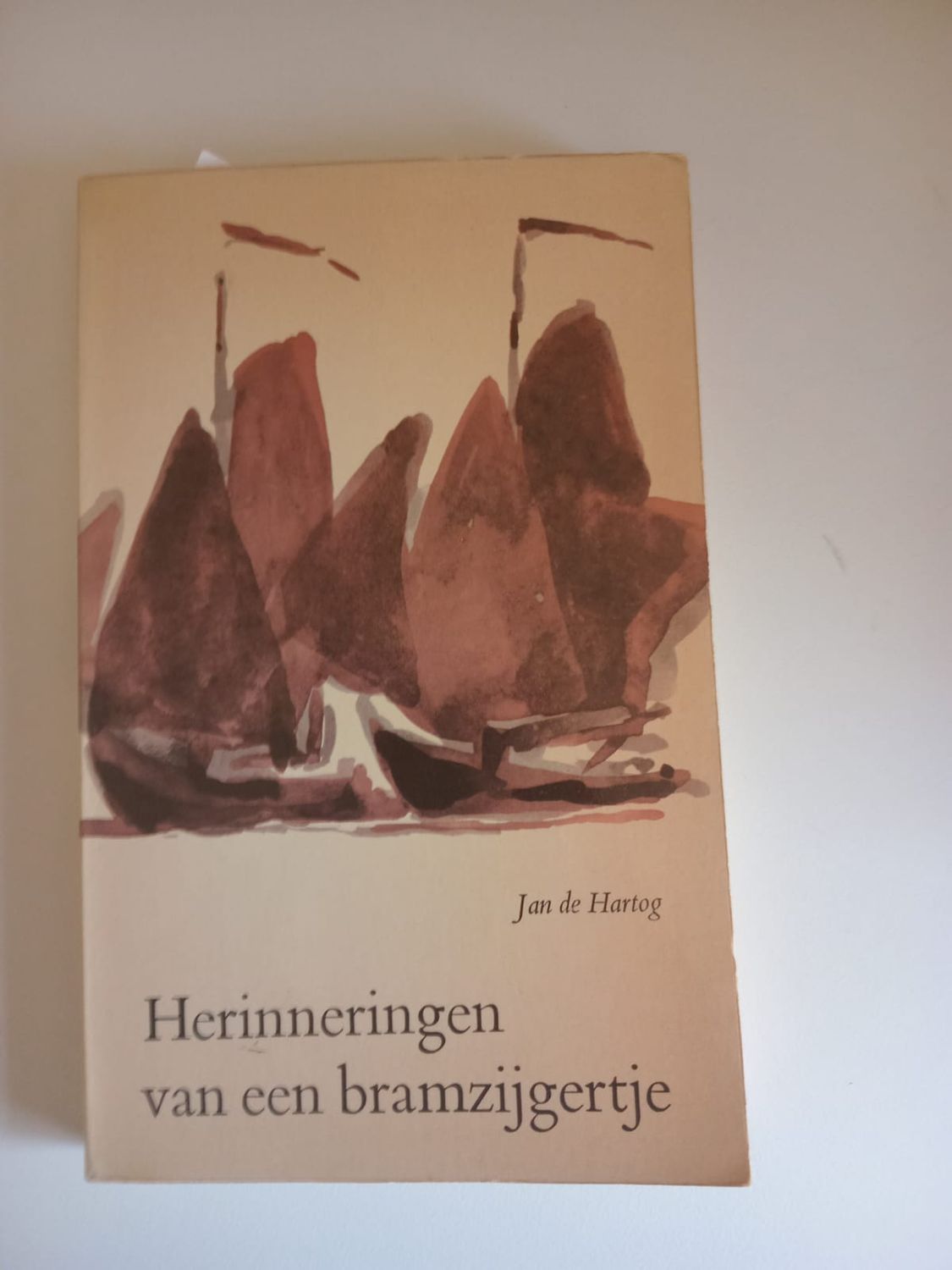 Herinneringen van een bramzijgertjes 109