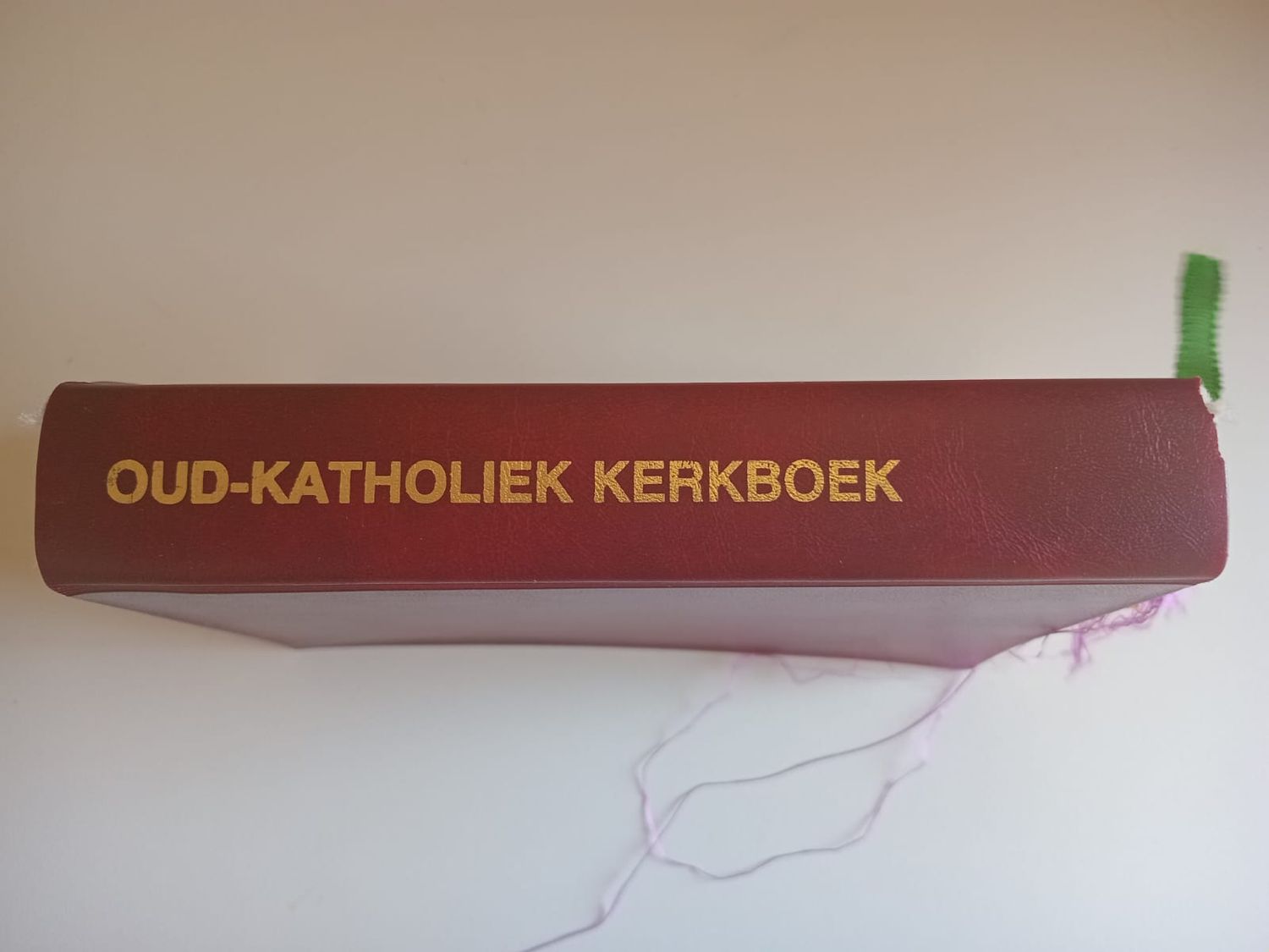 Oud-katholiek kerkboek 110