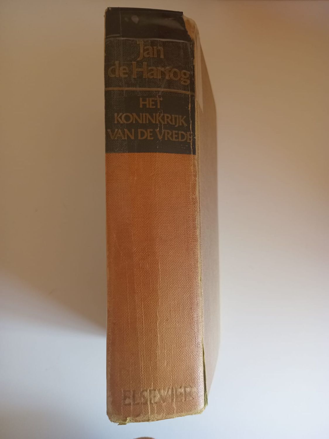 het koninkrijk van de vrede 110