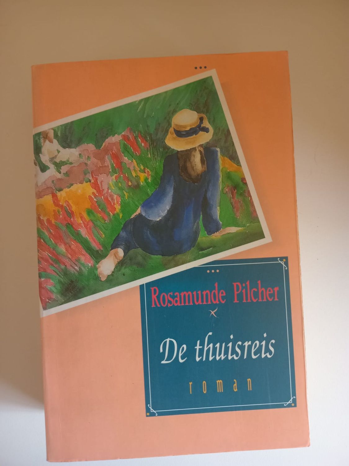 De thuisreis 110