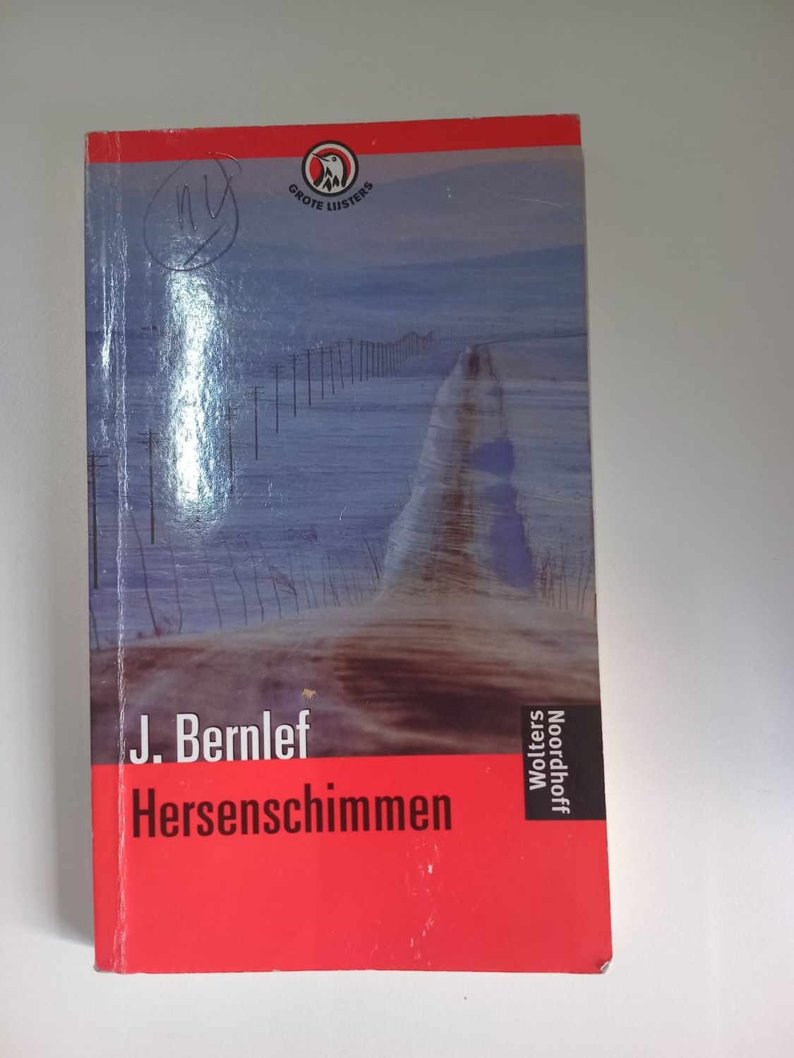 Hersenschimmen 113
