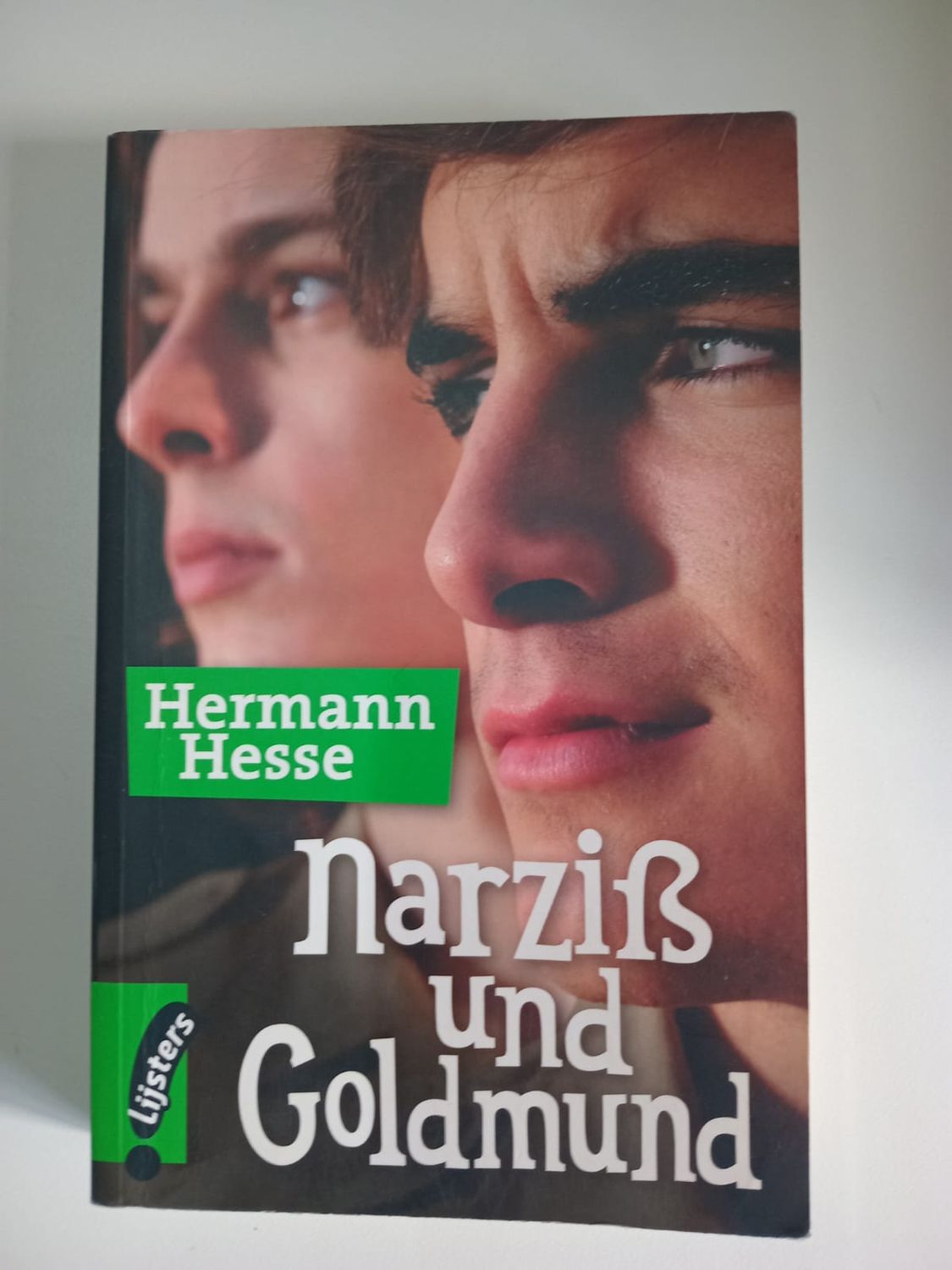 Narzib und goldmund [duits taal]  113