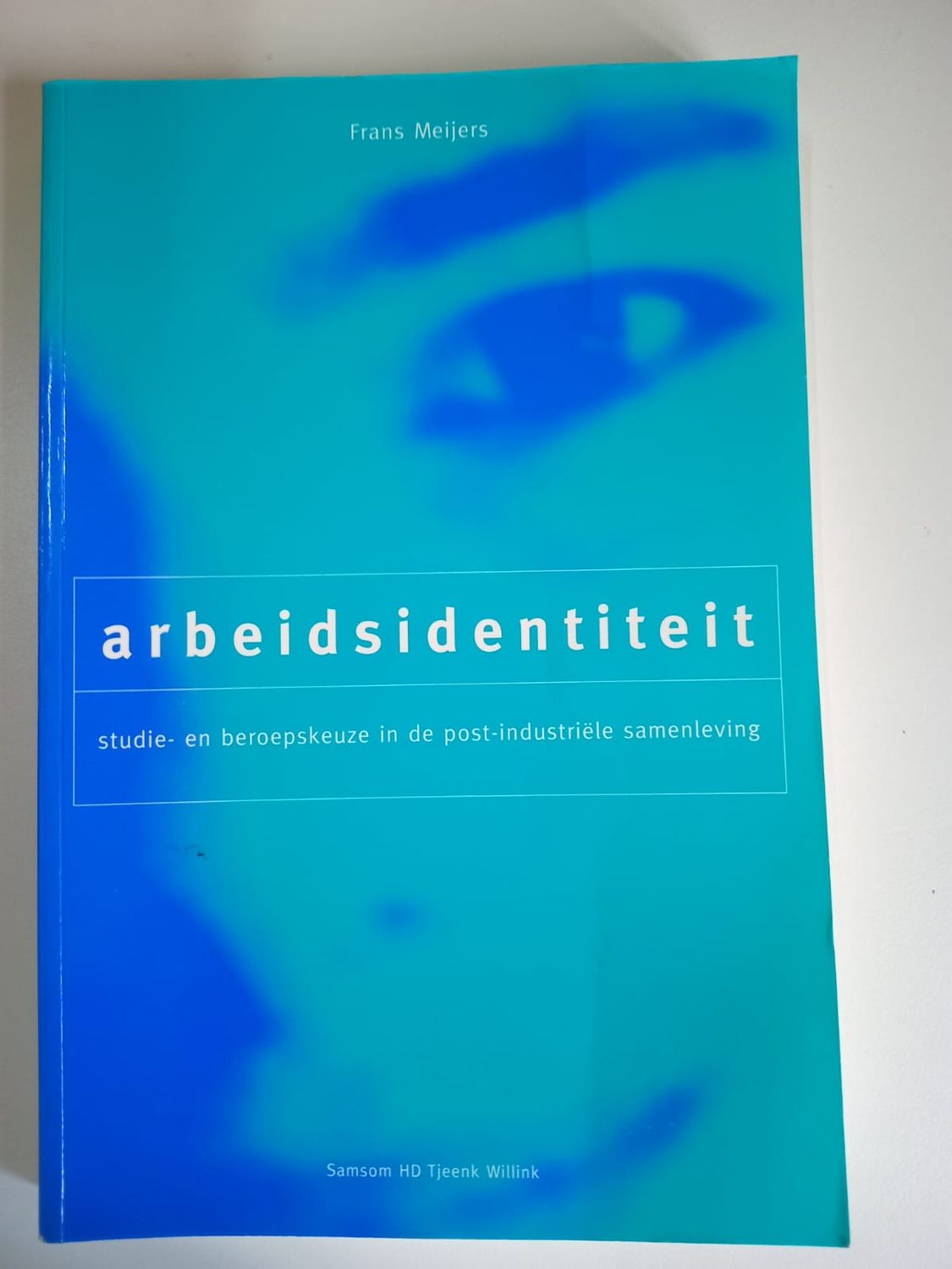 Arbeidsidentiteit 117