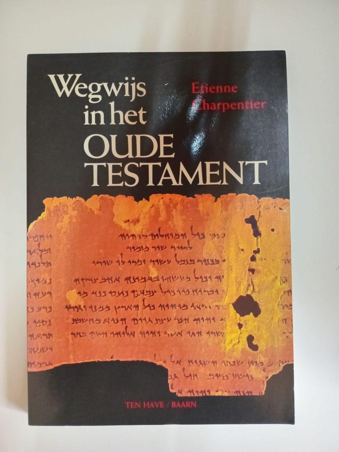 Wegwijs in het oude testament 119