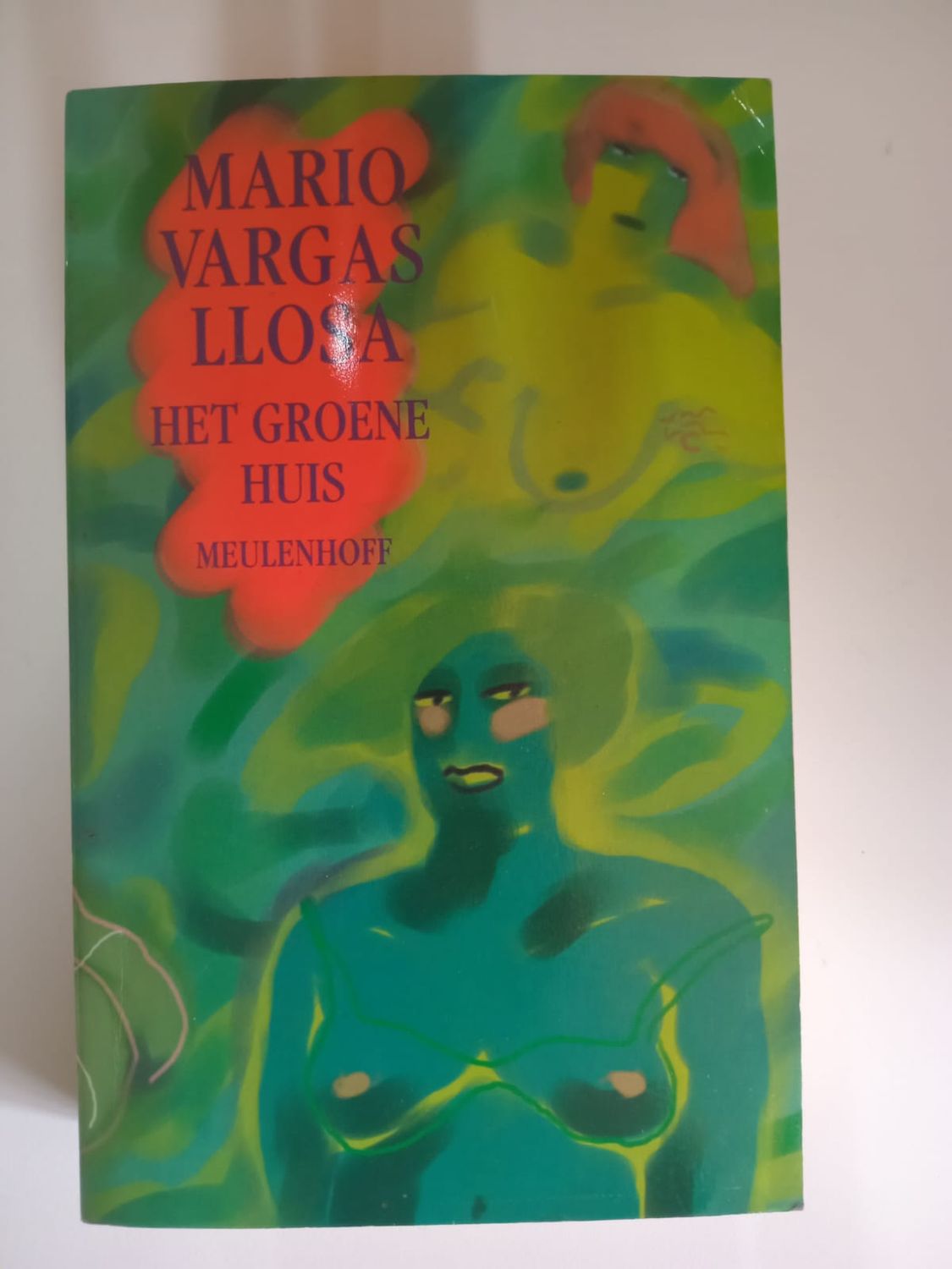 Het groene huis 120