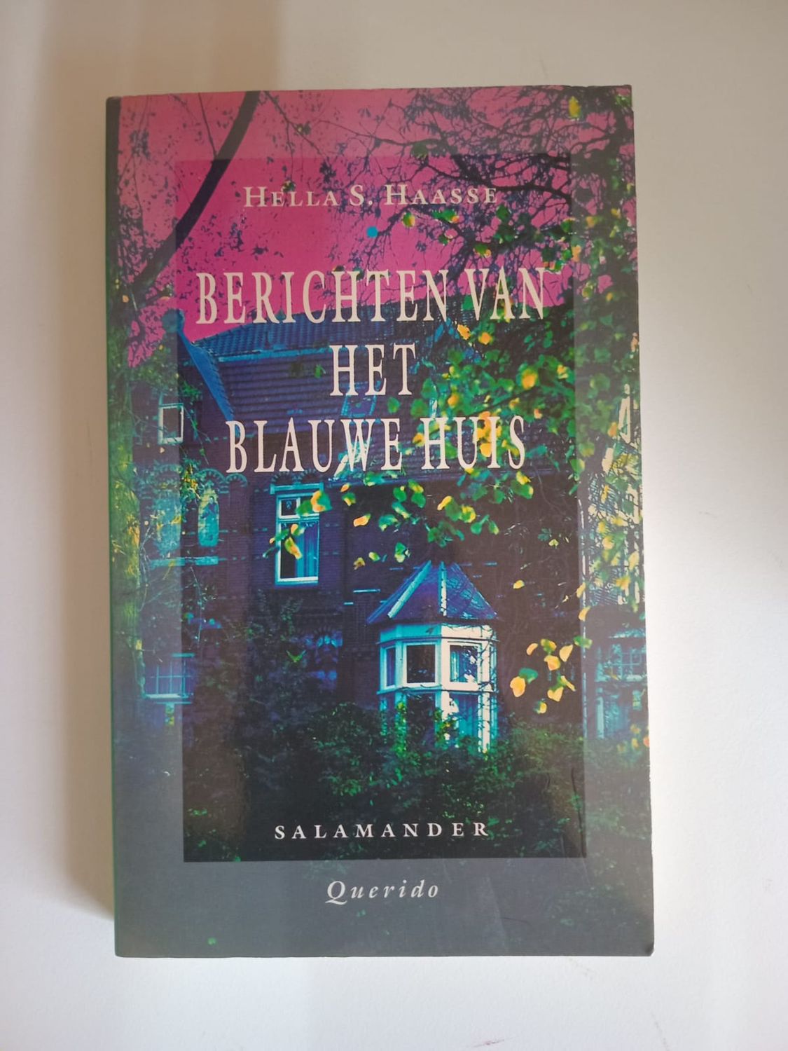 Berichten van het blauwe huis 123