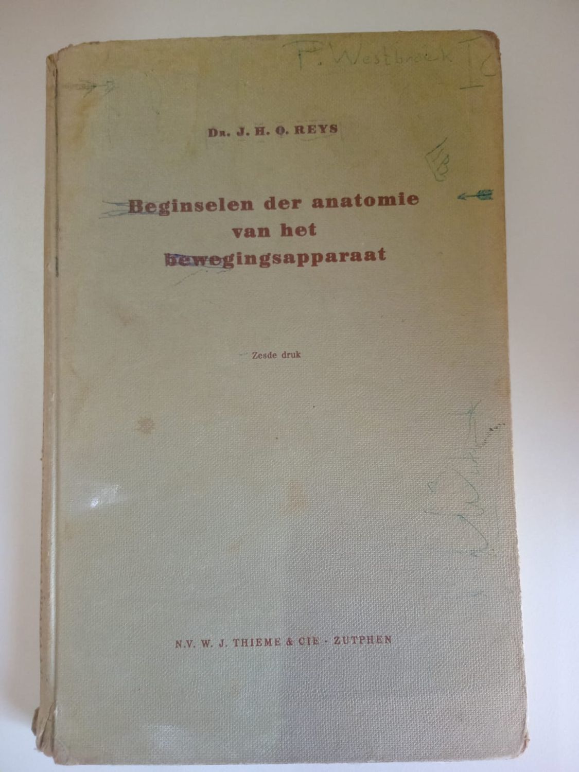 Beginselen der anatomie van het bewegingsapparaat 127