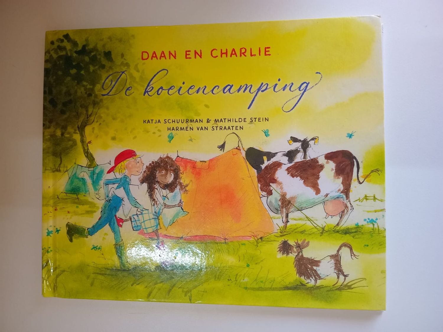 De koeiencamping 128
