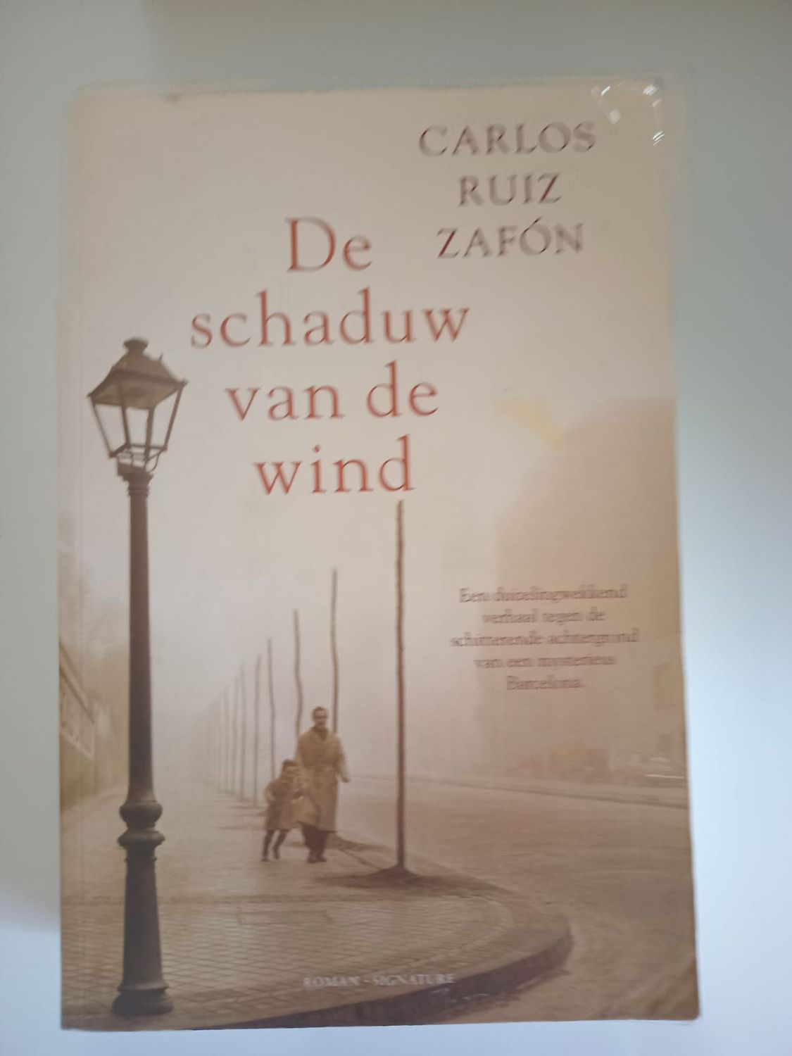 De schaduw van de wind 127