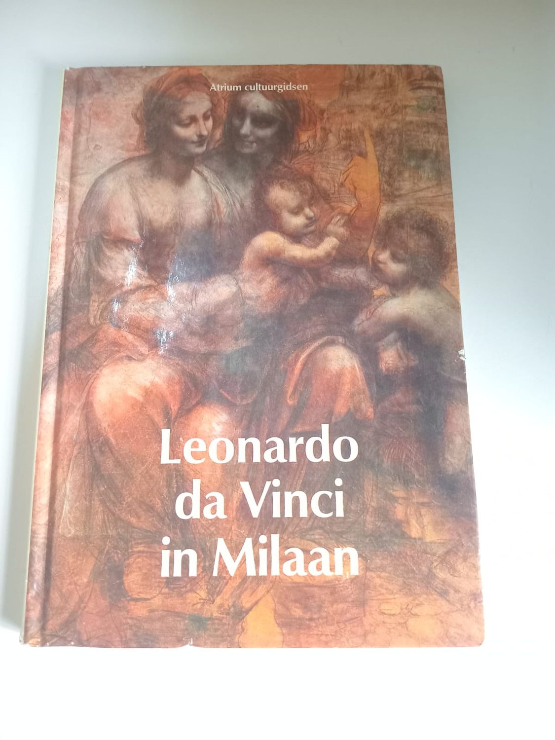 Leonardo da Vinci in Milaan 129
