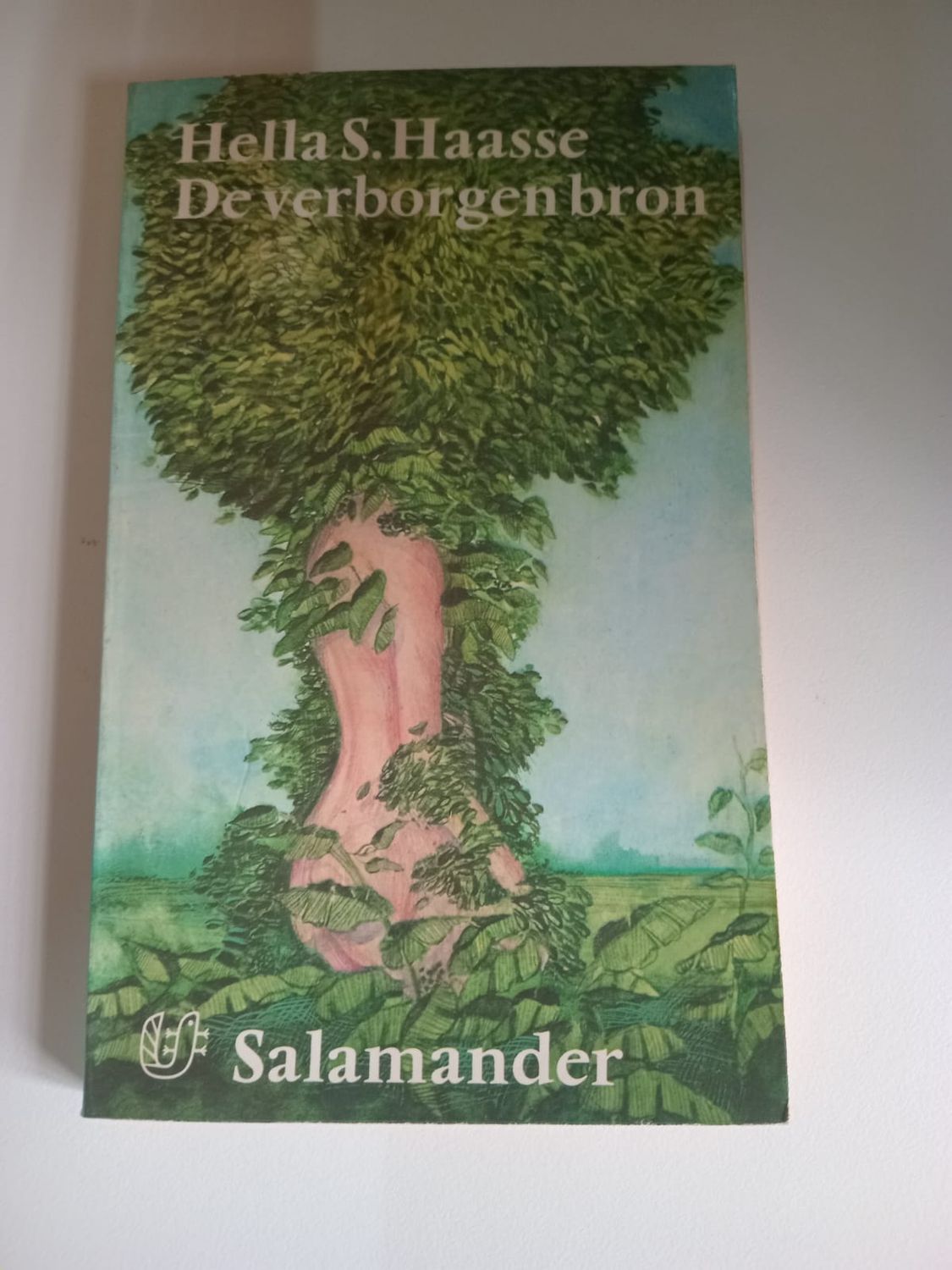 De verborgen bron 129