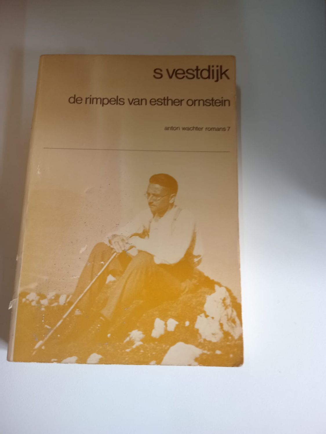De rimpels van esther ornstein 129