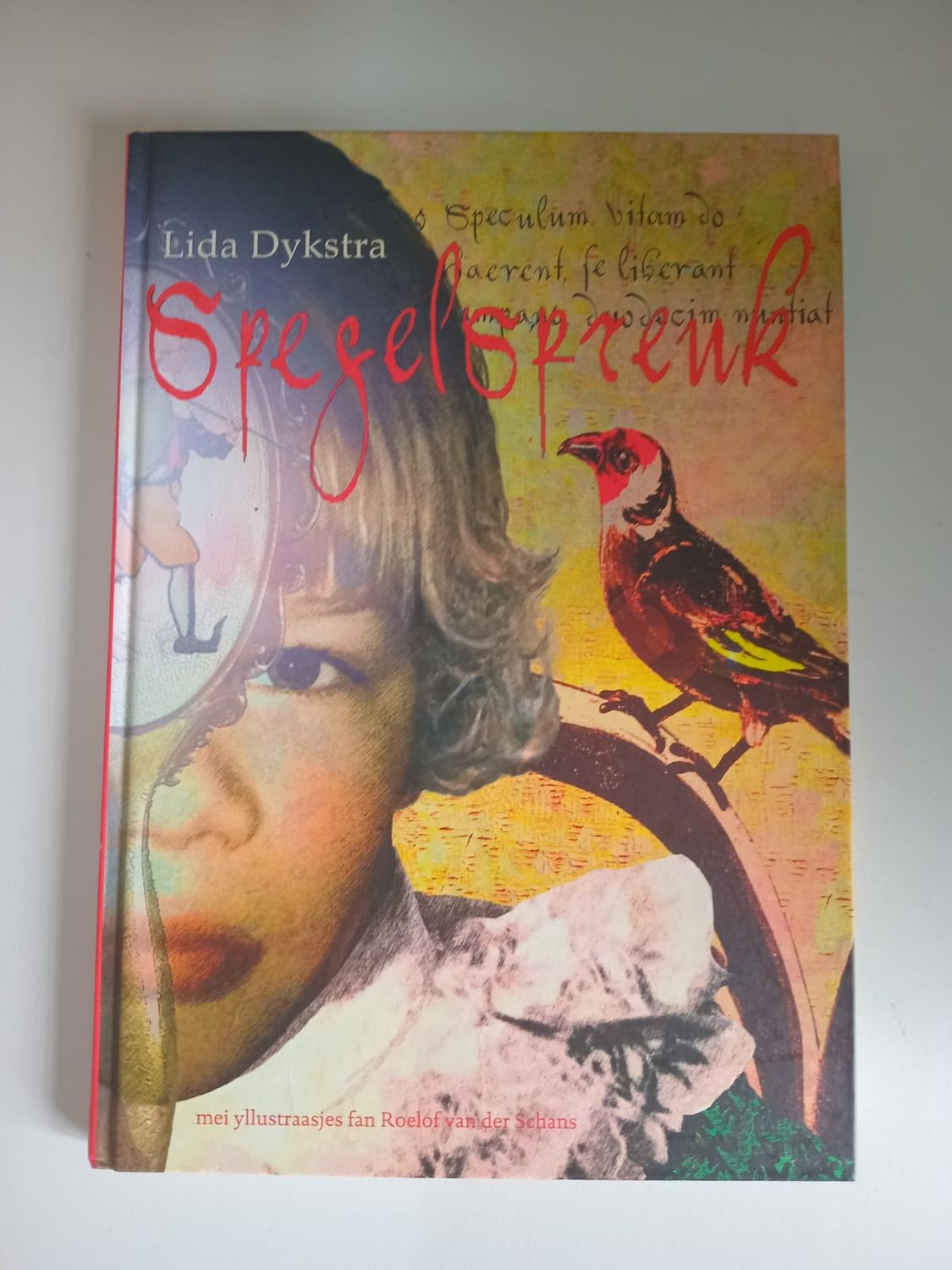 Spegelspreuk 130