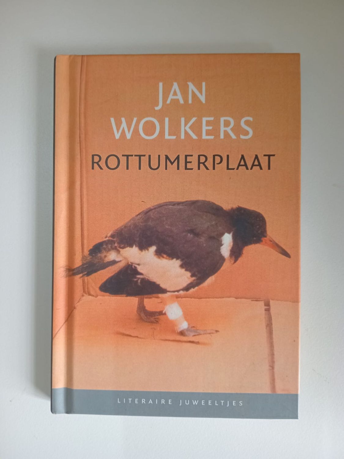 Rottumerplaat 130