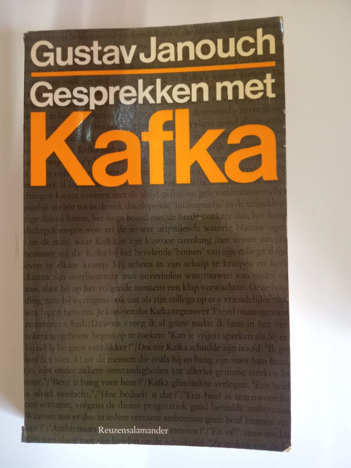 Gesprekken met Kafka 132