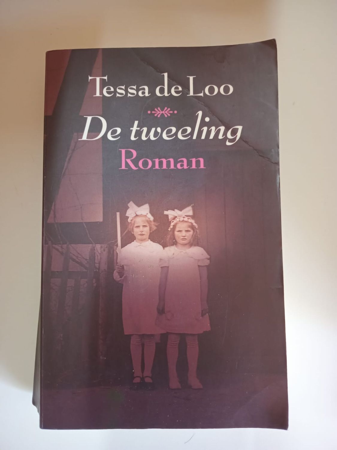De tweeling 133