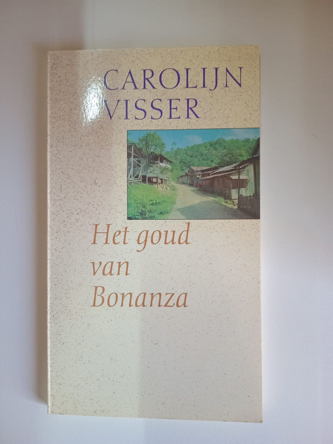 Het goud van bonanza 133