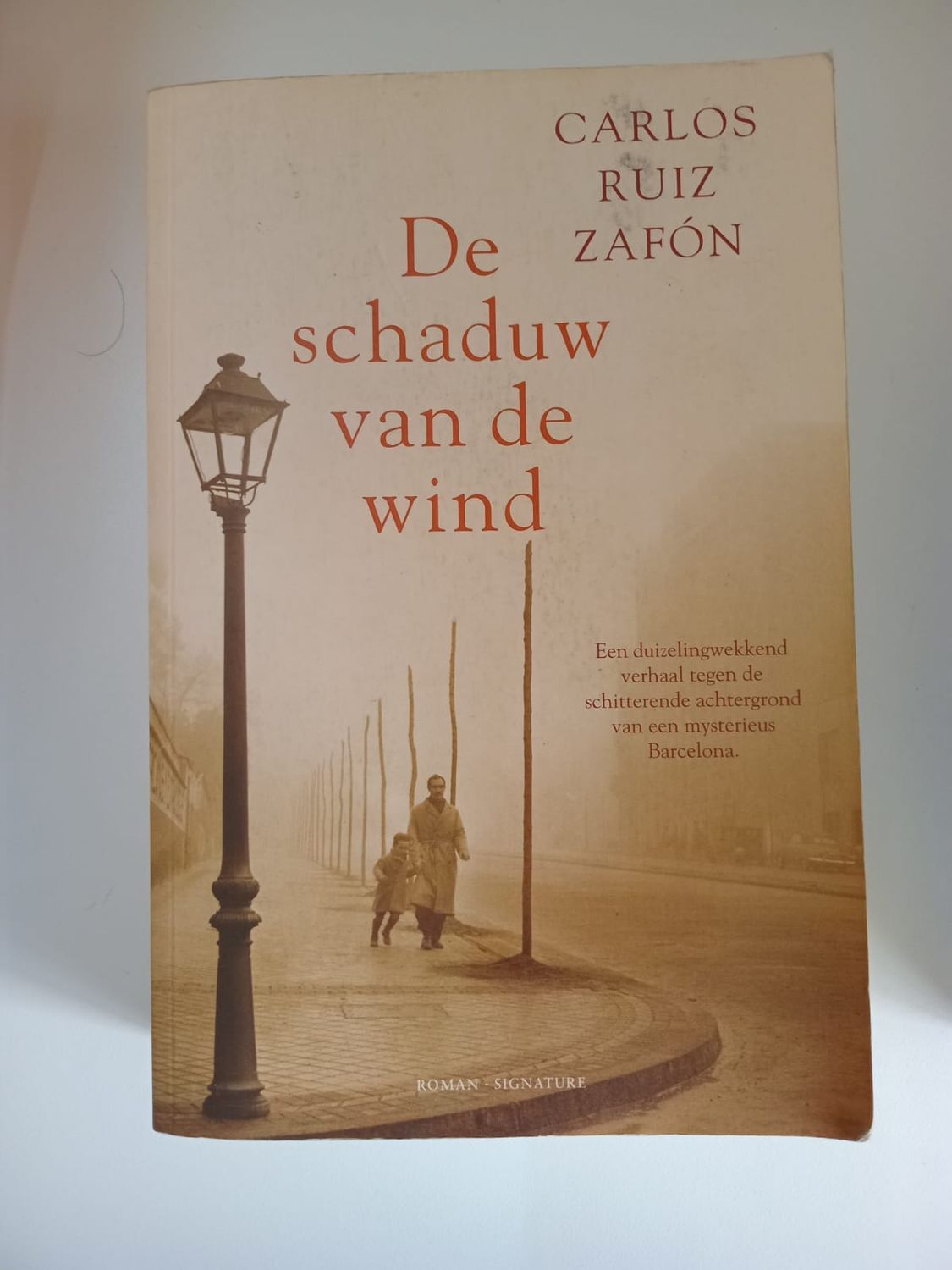 De schaduw van de wind 137