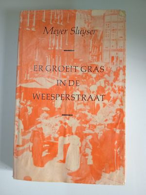 Er groeit gras in de weesperstraat 143