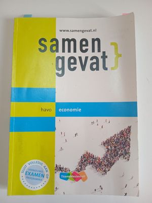 samen gevat ecomomie havo 131
