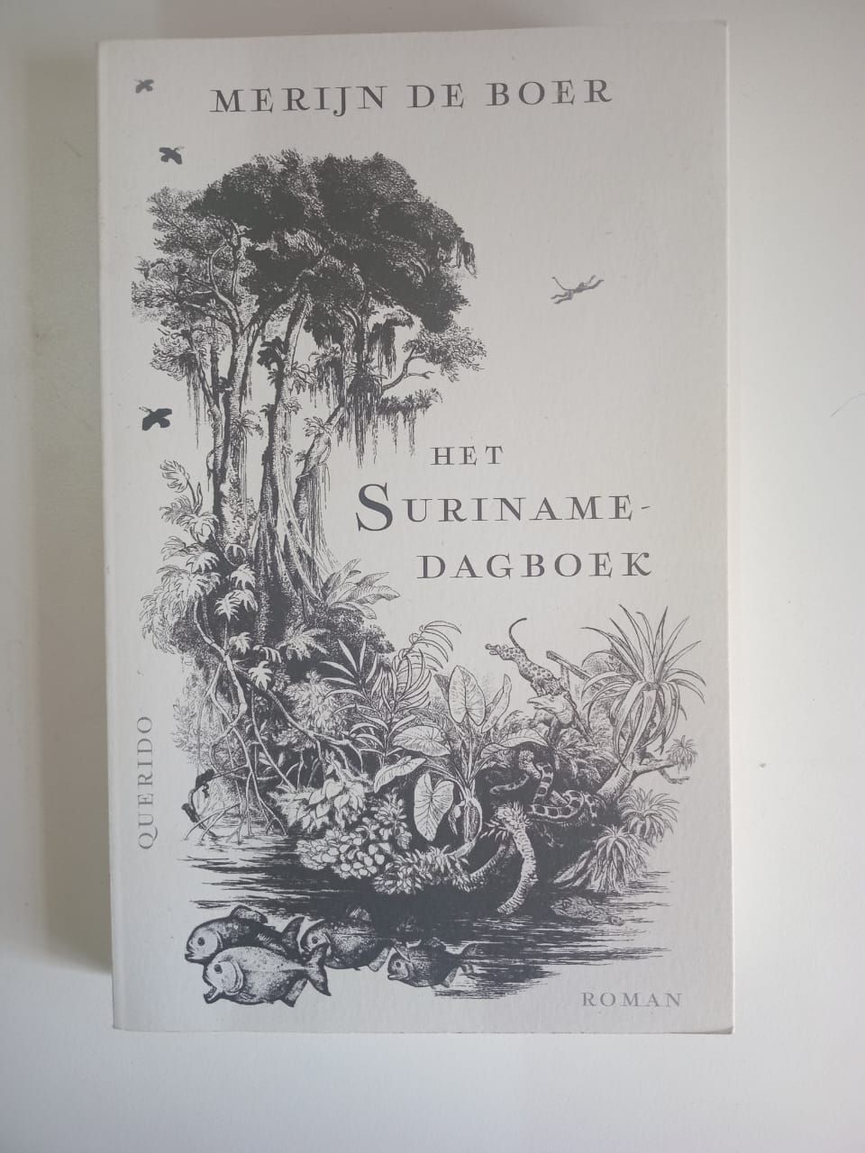 Het Suriname dagboek 145