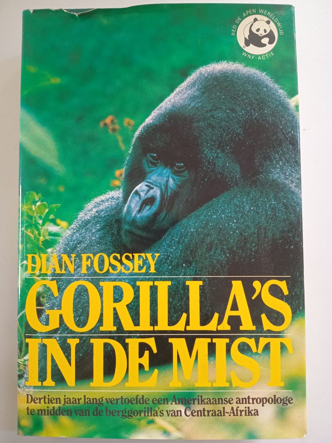 Gorrilla&#39;s in de mist 147